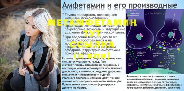 ГАЛЛЮЦИНОГЕННЫЕ ГРИБЫ Карталы