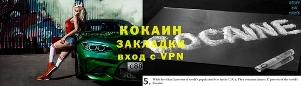 ГАЛЛЮЦИНОГЕННЫЕ ГРИБЫ Карталы