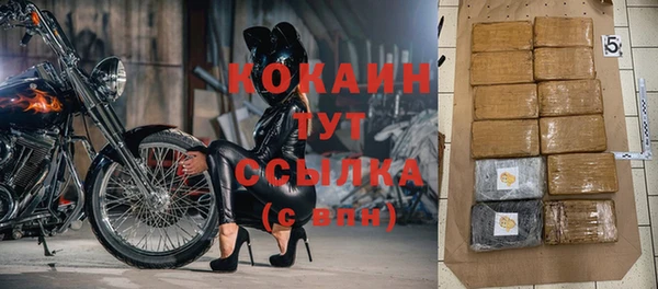 ГАЛЛЮЦИНОГЕННЫЕ ГРИБЫ Карталы