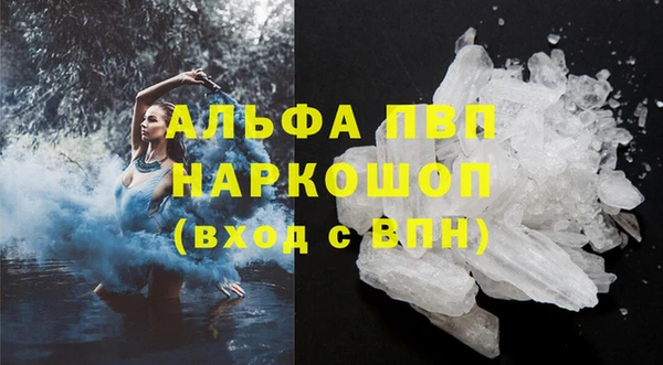 ГАЛЛЮЦИНОГЕННЫЕ ГРИБЫ Карталы