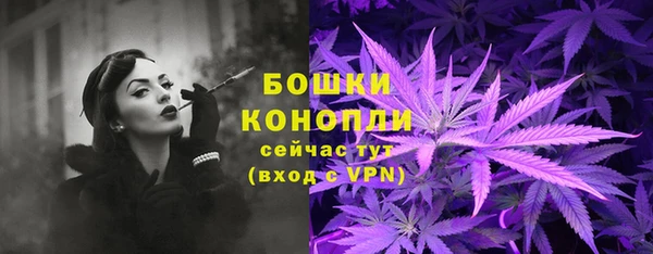 ГАЛЛЮЦИНОГЕННЫЕ ГРИБЫ Карталы