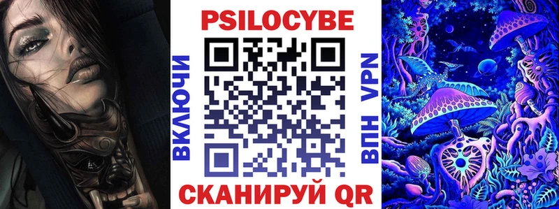 Псилоцибиновые грибы Psilocybe  Купить где  Белая Холуница 